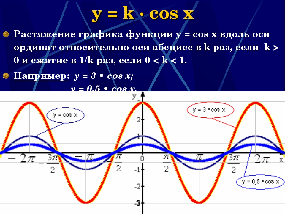 Растяжение и сжатие графиков функций презентация