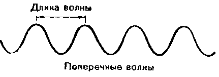 На каком из рисунков изображена поперечная волна