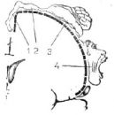 щелкните, и изображение увеличится